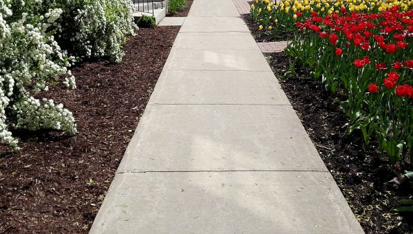Sidewalk Concrete Replacement in Springfield