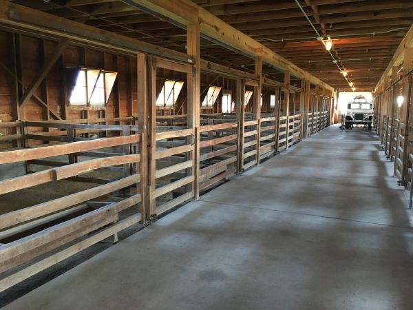 Barn Slab Construction in Springfield