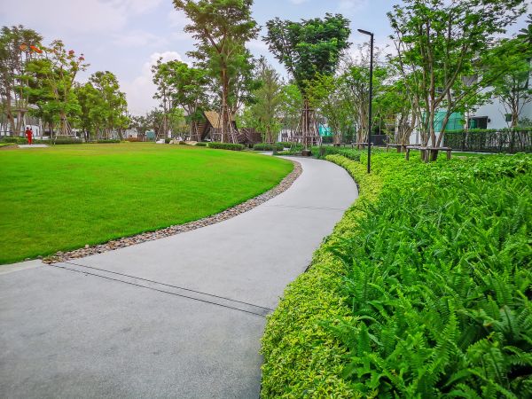 Cement Walkway Service in Springfield