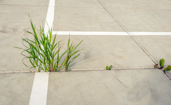 Concrete Parking Installation in Springfield