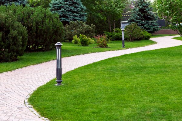 Backyard Sidewalk Installation in Springfield