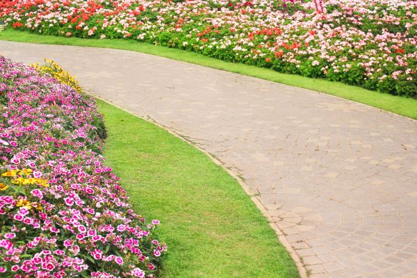 Concrete Walkway Service in Springfield
