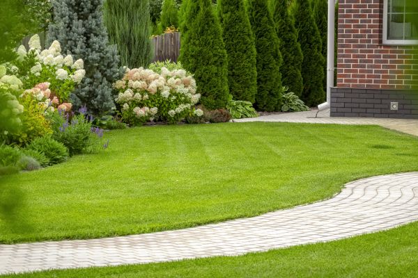 Landscape Walkway Installation in Springfield