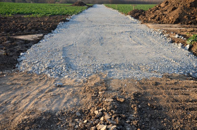 Eco-Friendly Options